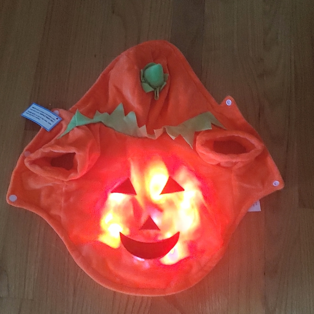 Dog Halloween Costume Jack O' Lantern LED Light up Pumpkin X-SMALL XS